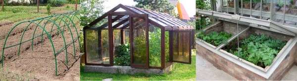 Теплицы для дачи и огорода: конструкции, материалы с фото